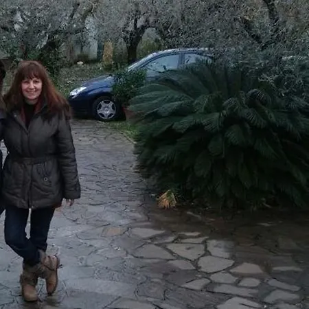 Baiera Frascati