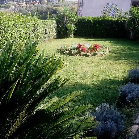 Baiera * Frascati