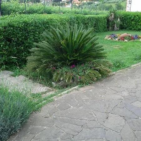 Baiera