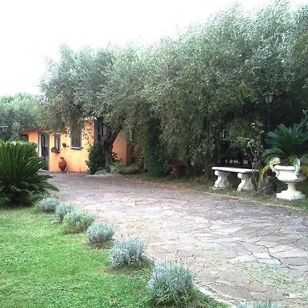 Baiera * Frascati
